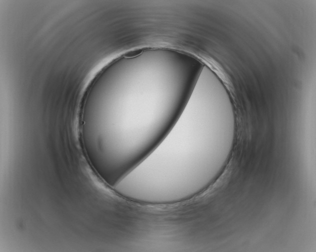 X0000115560904200911061145