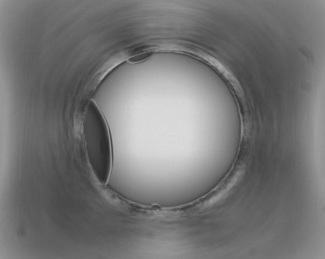 X0000115560905200911061145