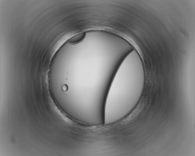 X0000115560906200911061145