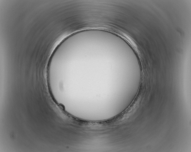 X0000115560907200911061145