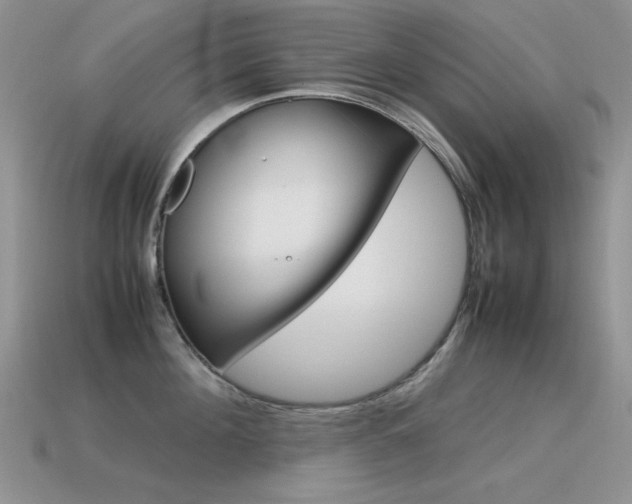 X0000115560908200911061145