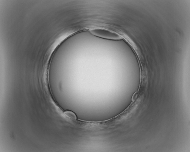 X0000115560909200911061145