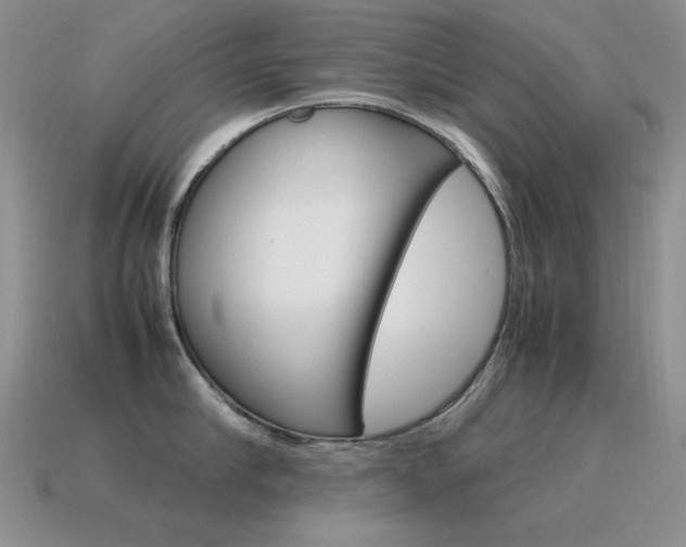 X0000115560910200911061145
