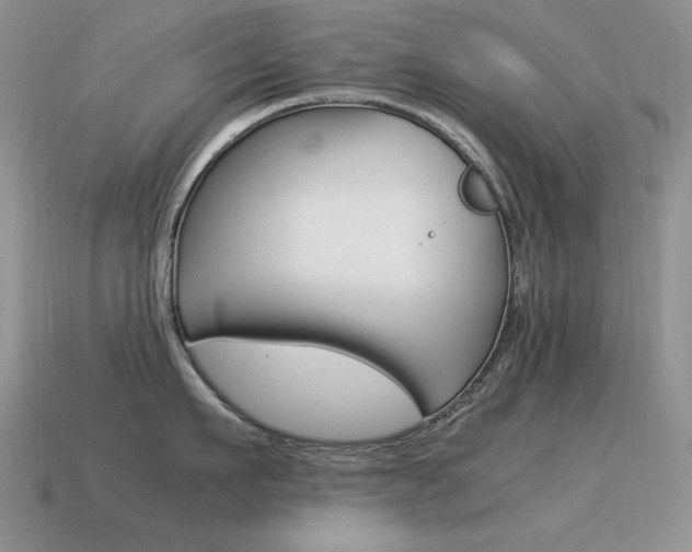 X0000115560911200911061145