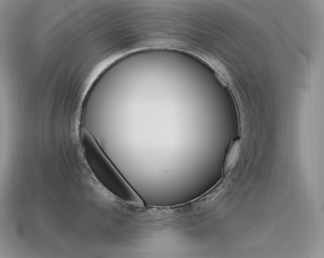 X0000115560912200911061145