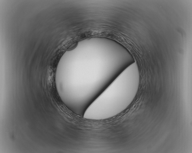 X0000115560914200911061144