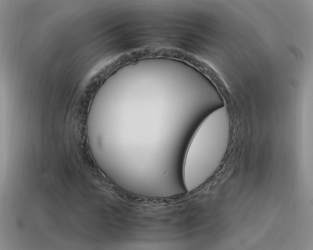 X0000115560919200911061144