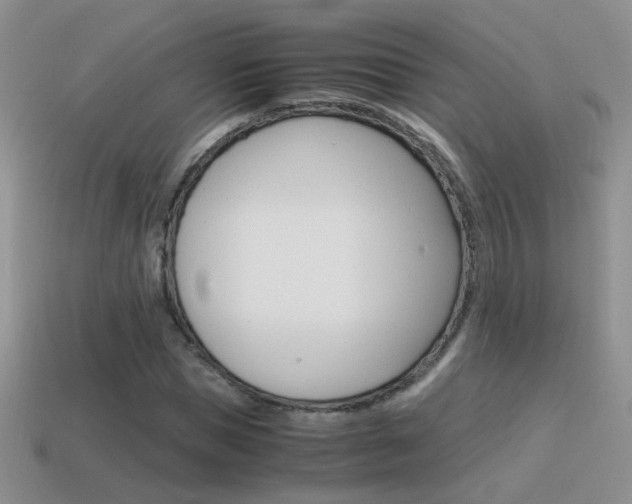 X0000115560921200911061144