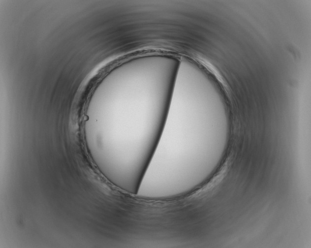 X0000115560923200911061144