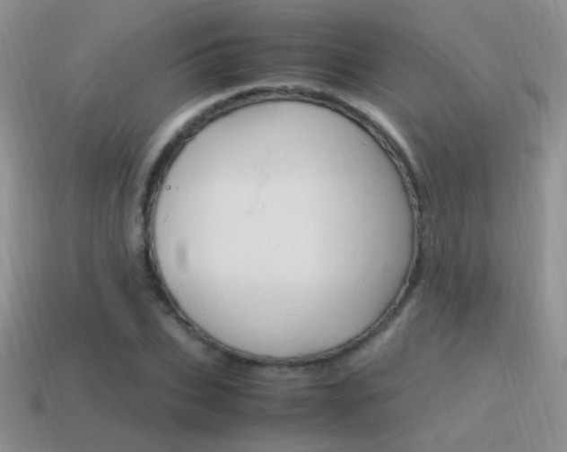X0000115560927200911061144