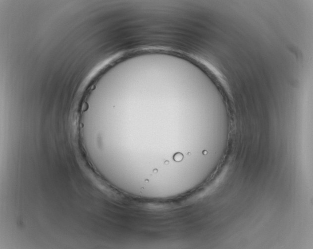 X0000115560933200911061144