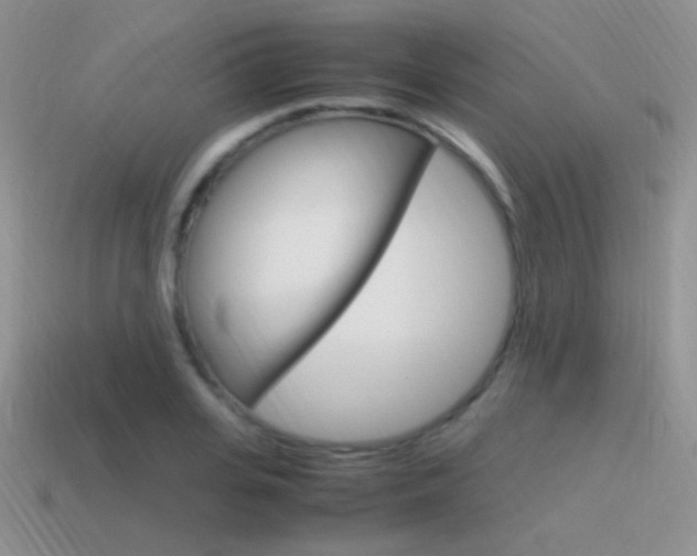 X0000115560935200911061144