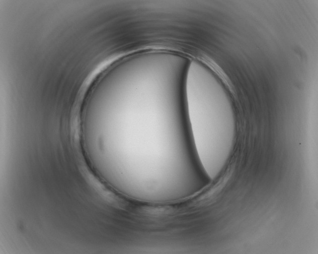 X0000115560939200911061144