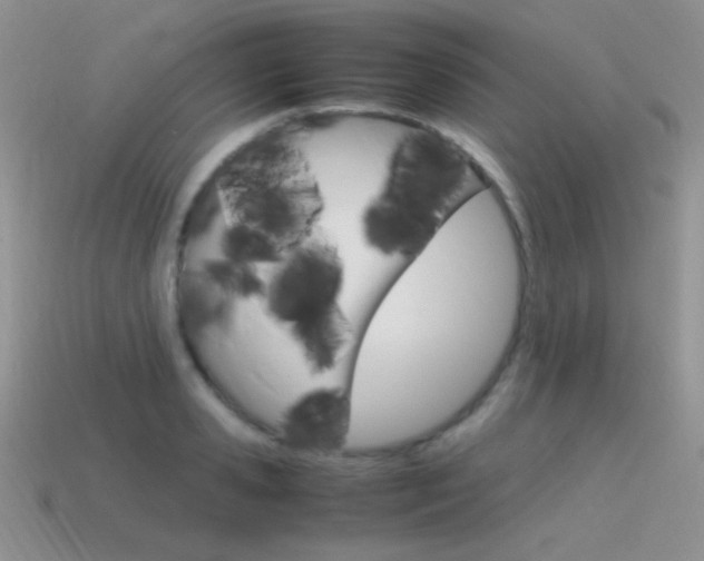 X0000115560941200911061145