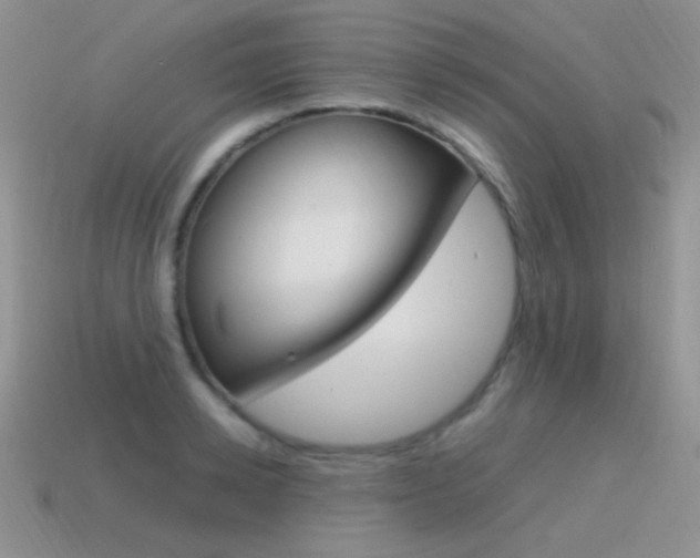 X0000115560942200911061145