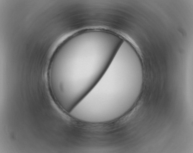 X0000115560943200911061145
