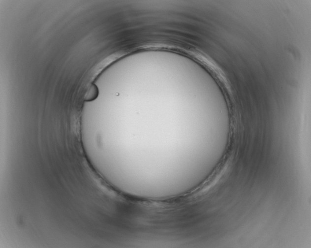 X0000115560945200911061145