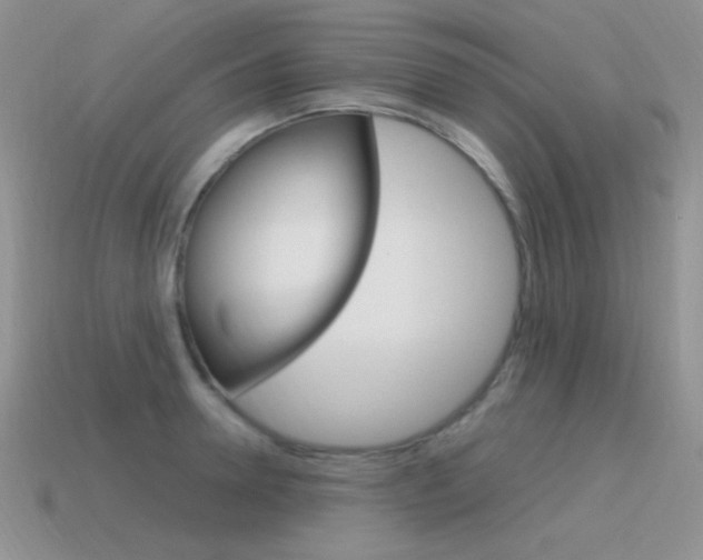 X0000115560946200911061145