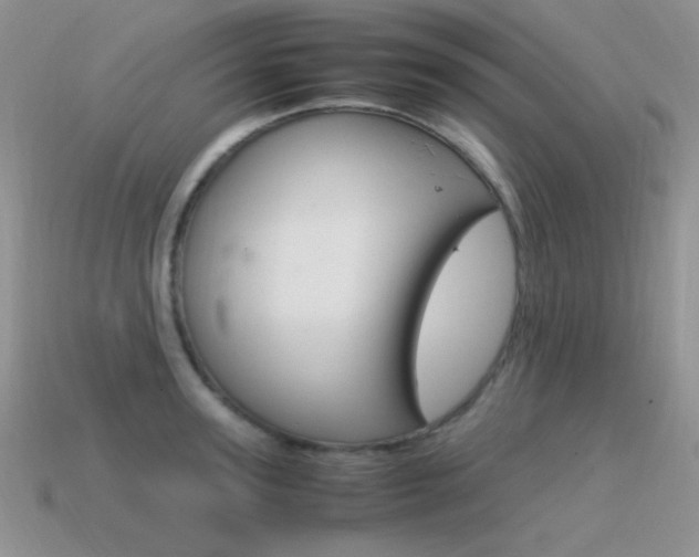 X0000115560947200911061145