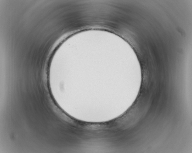 X0000115560950200911061145