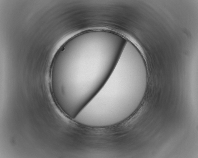 X0000115560951200911061145
