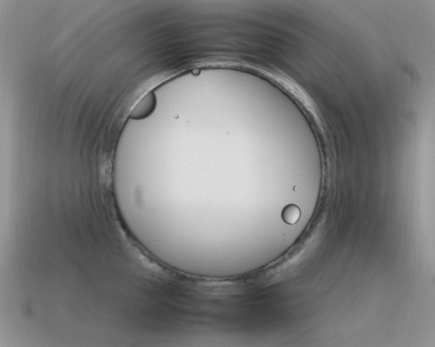 X0000115560953200911061145
