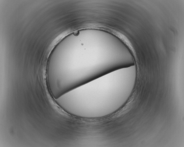 X0000115560954200911061145