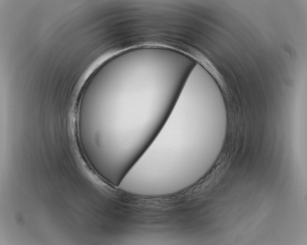 X0000115560955200911061145