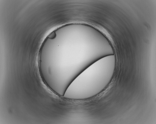 X0000115560958200911061145