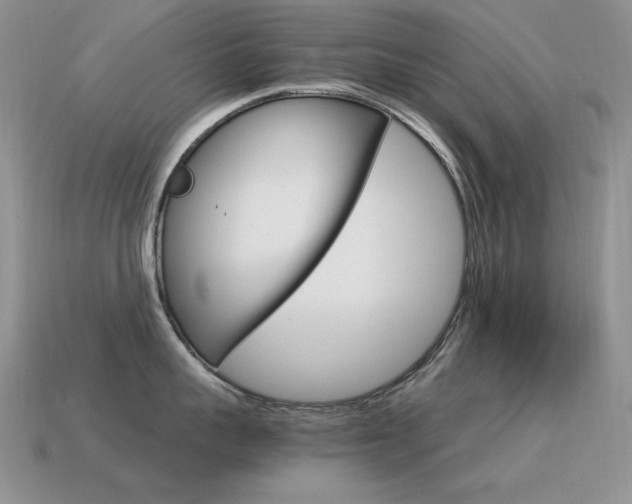 X0000115560959200911061145