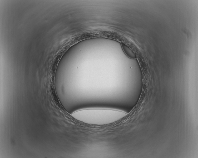 X0000115560965200911061144