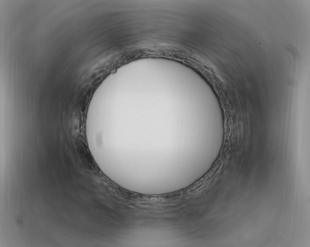 X0000115560966200911061144