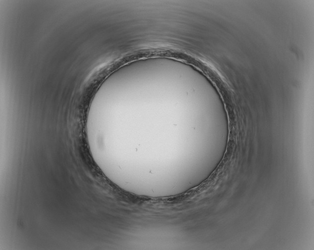 X0000115560967200911061144
