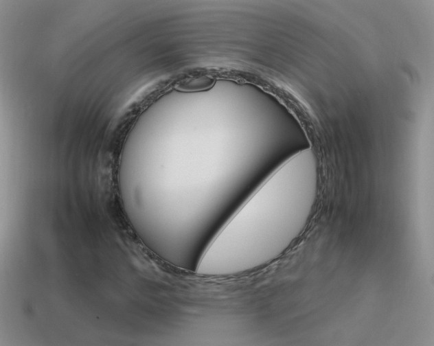 X0000115560968200911061144