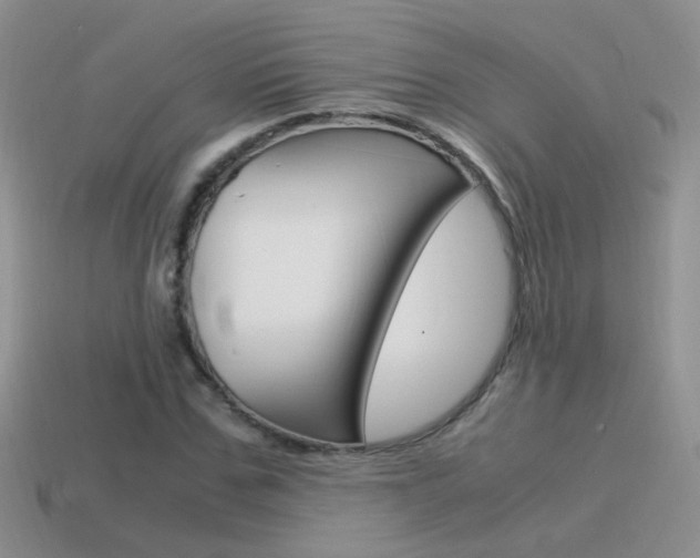 X0000115560971200911061144