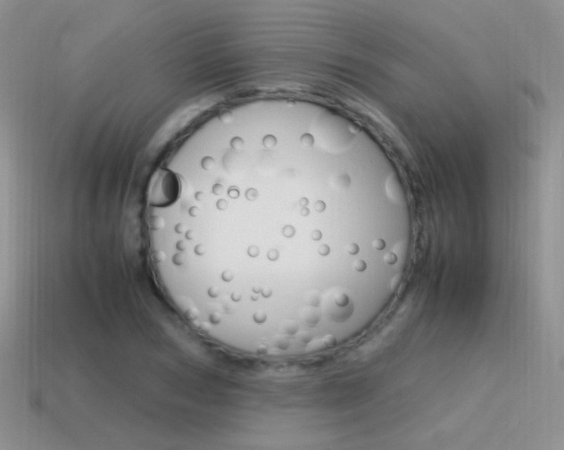 X0000115560978200911061144