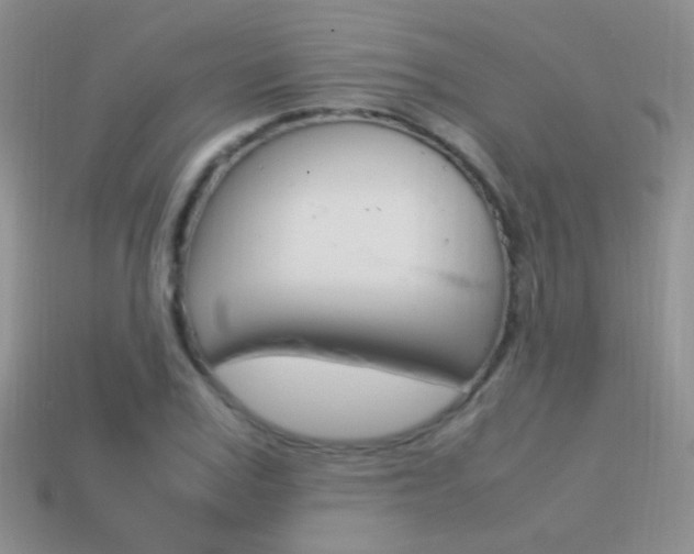 X0000115560979200911061144