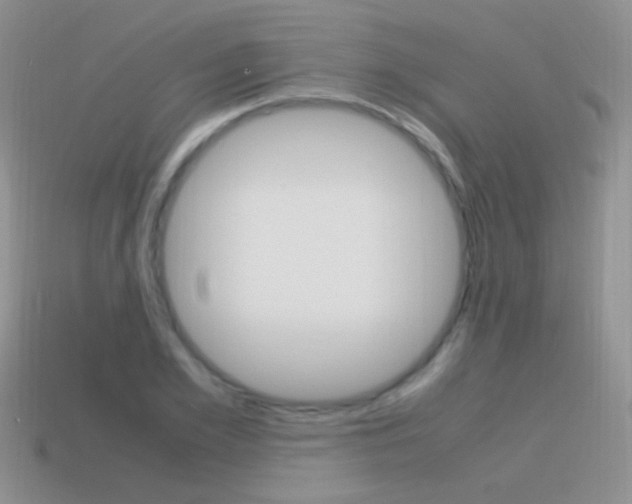 X0000115560981200911061144