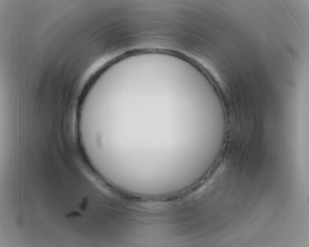 X0000115560982200911061144
