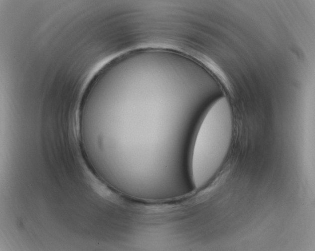 X0000115560988200911061144