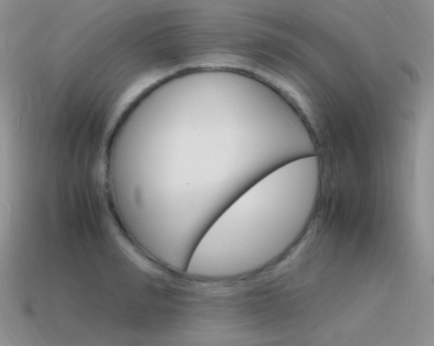 X0000115560990200911061144