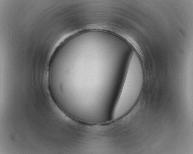 X0000115560992200911061144