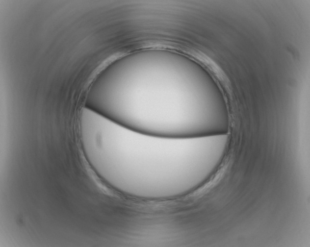 X0000115560993200911061144