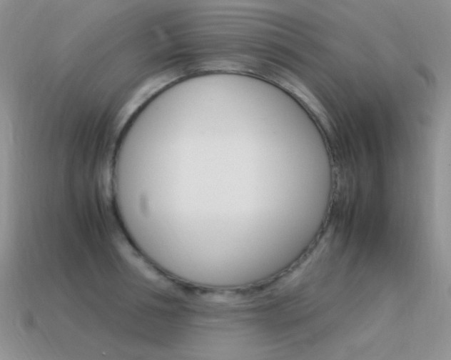 X0000115560994200911061144