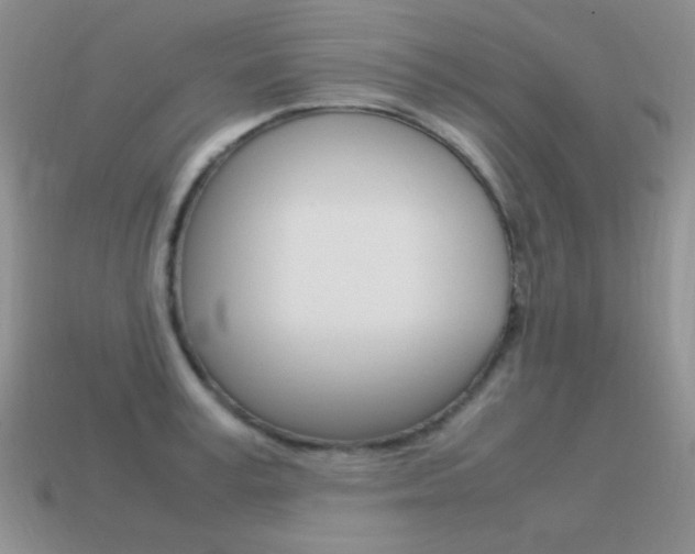 X0000115560995200911061144