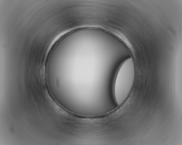 X0000115560996200911061144