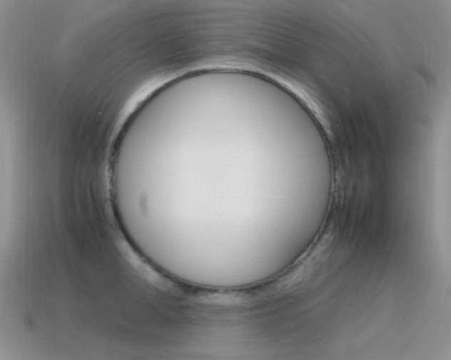 X0000115560998200911061144