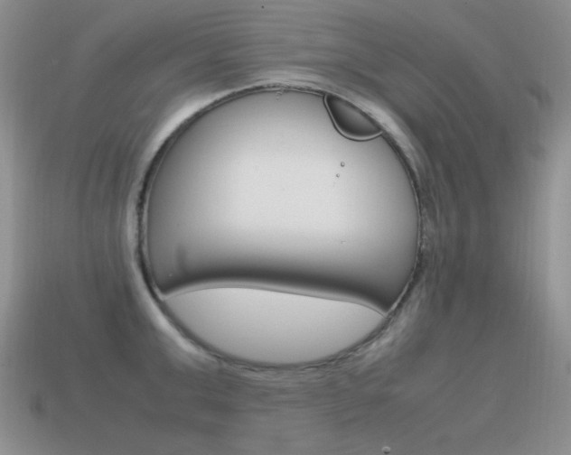 X0000115560999200911061144