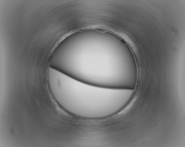 X0000115561001200911061144