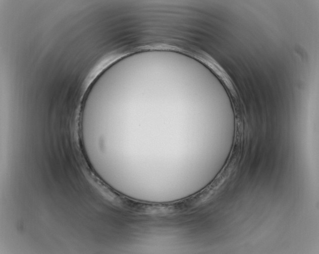 X0000115561002200911061144